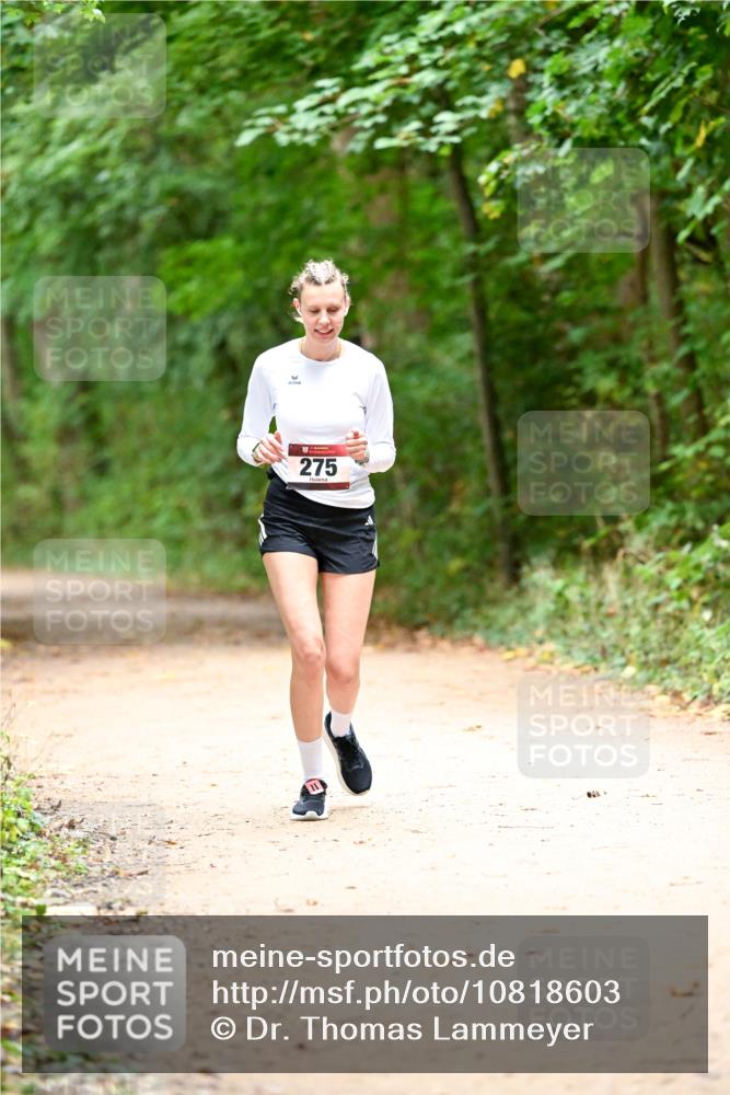 11.10.2026 - Bramfelder Halbmarathon 2026 Dr. Thomas Lammeyer http://msf.ph/oto/10818603 11.10.2026 10:06:29 Laufen 275 meine-sportfotos.de