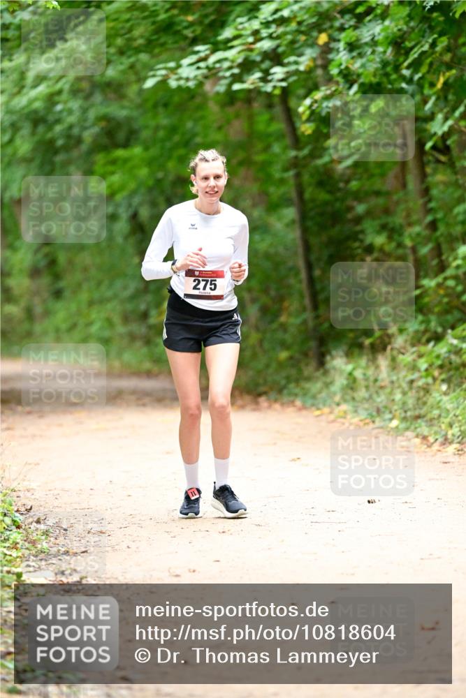 11.10.2026 - Bramfelder Halbmarathon 2026 Dr. Thomas Lammeyer http://msf.ph/oto/10818604 11.10.2026 10:06:29 Laufen 275 meine-sportfotos.de