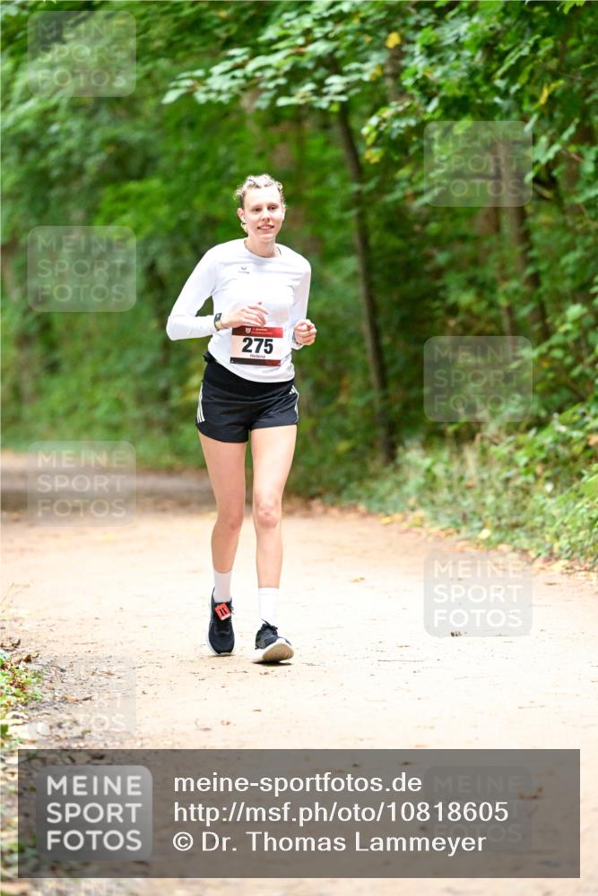 11.10.2026 - Bramfelder Halbmarathon 2026 Dr. Thomas Lammeyer http://msf.ph/oto/10818605 11.10.2026 10:06:29 Laufen 275 meine-sportfotos.de
