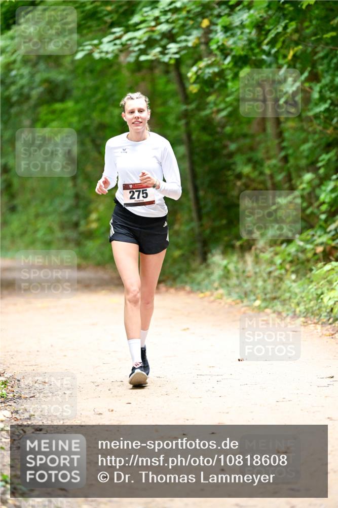 11.10.2026 - Bramfelder Halbmarathon 2026 Dr. Thomas Lammeyer http://msf.ph/oto/10818608 11.10.2026 10:06:30 Laufen 275 meine-sportfotos.de
