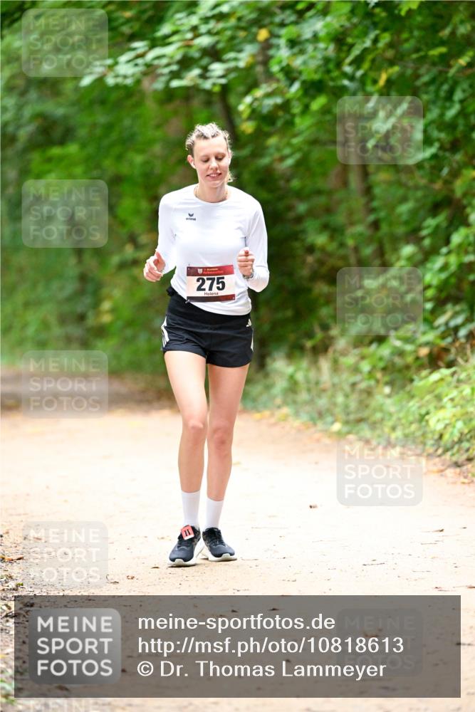 11.10.2026 - Bramfelder Halbmarathon 2026 Dr. Thomas Lammeyer http://msf.ph/oto/10818613 11.10.2026 10:06:31 Laufen 275 meine-sportfotos.de