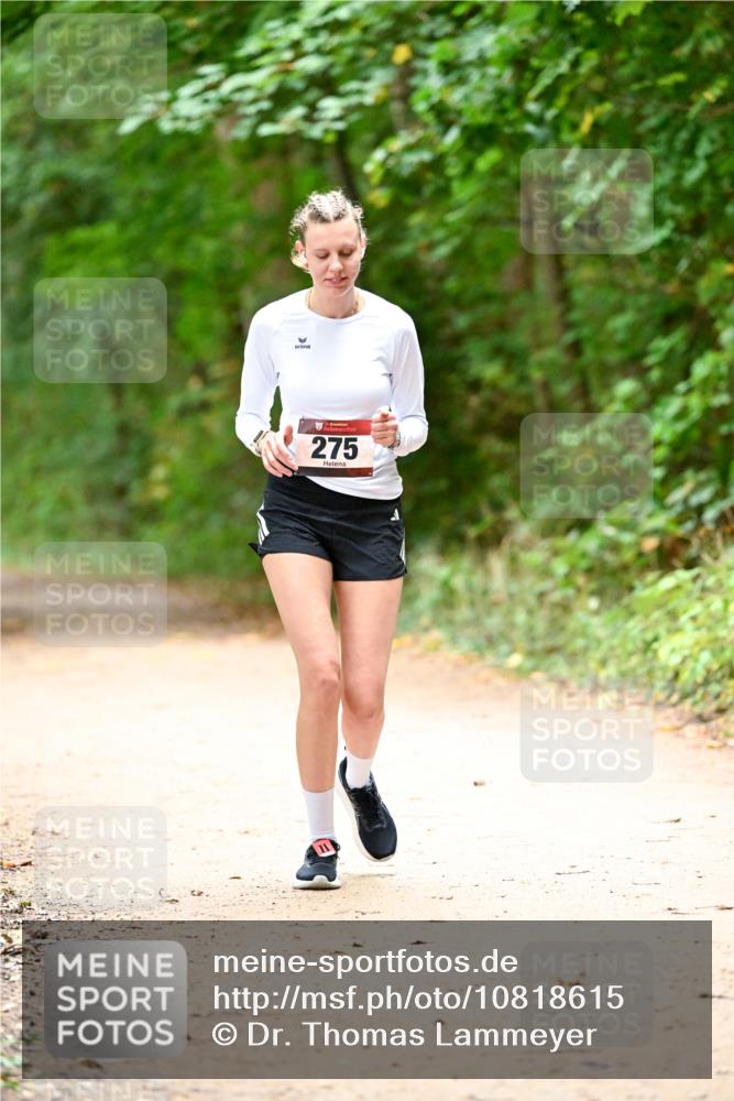 11.10.2026 - Bramfelder Halbmarathon 2026 Dr. Thomas Lammeyer http://msf.ph/oto/10818615 11.10.2026 10:06:31 Laufen 275 meine-sportfotos.de