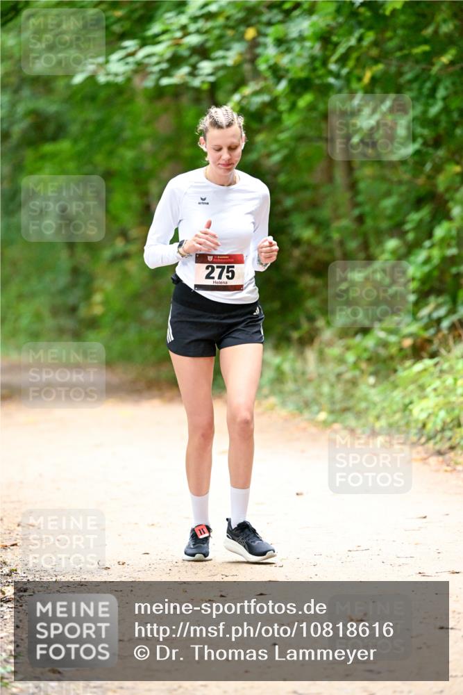 11.10.2026 - Bramfelder Halbmarathon 2026 Dr. Thomas Lammeyer http://msf.ph/oto/10818616 11.10.2026 10:06:31 Laufen 275 meine-sportfotos.de