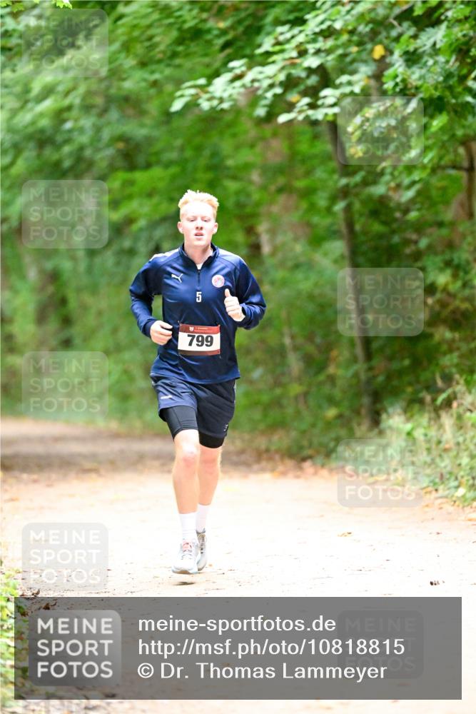 11.10.2026 - Bramfelder Halbmarathon 2026 Dr. Thomas Lammeyer http://msf.ph/oto/10818815 11.10.2026 10:09:28 Laufen 30, 799 meine-sportfotos.de