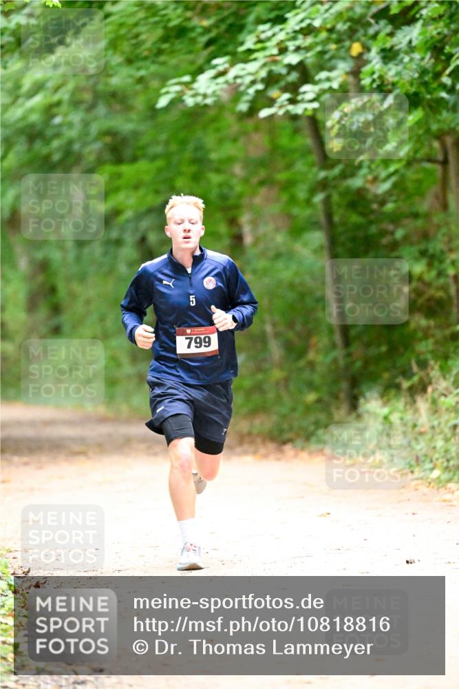 11.10.2026 - Bramfelder Halbmarathon 2026 Dr. Thomas Lammeyer http://msf.ph/oto/10818816 11.10.2026 10:09:28 Laufen 799 meine-sportfotos.de