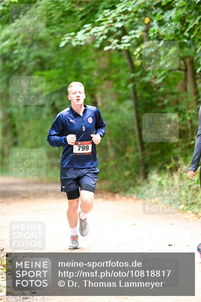 11.10.2026 - Bramfelder Halbmarathon 2026 Dr. Thomas Lammeyer http://msf.ph/oto/10818817 11.10.2026 10:09:29 Laufen 5, 799 meine-sportfotos.de