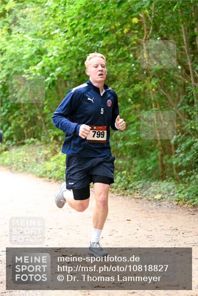 11.10.2026 - Bramfelder Halbmarathon 2026 Dr. Thomas Lammeyer http://msf.ph/oto/10818827 11.10.2026 10:09:32 Laufen 5, 799 meine-sportfotos.de
