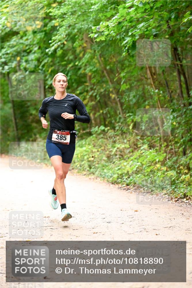 11.10.2026 - Bramfelder Halbmarathon 2026 Dr. Thomas Lammeyer http://msf.ph/oto/10818890 11.10.2026 10:10:13 Laufen 385 meine-sportfotos.de