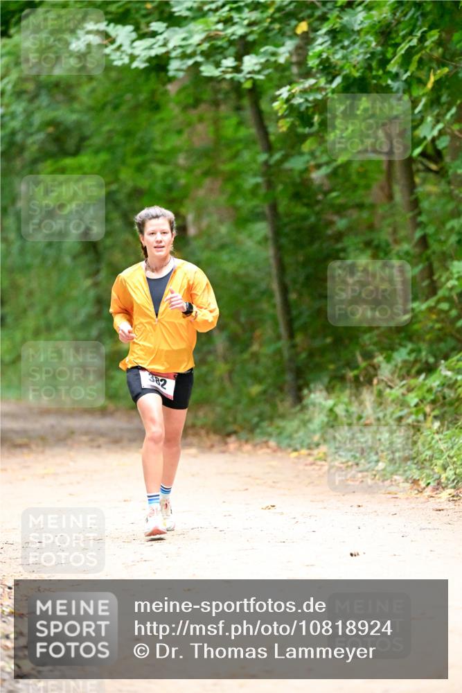 11.10.2026 - Bramfelder Halbmarathon 2026 Dr. Thomas Lammeyer http://msf.ph/oto/10818924 11.10.2026 10:10:30 Laufen 382 meine-sportfotos.de