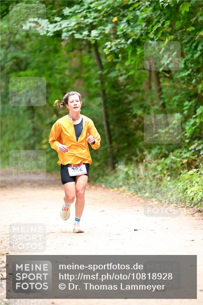 11.10.2026 - Bramfelder Halbmarathon 2026 Dr. Thomas Lammeyer http://msf.ph/oto/10818928 11.10.2026 10:10:30 Laufen 382 meine-sportfotos.de