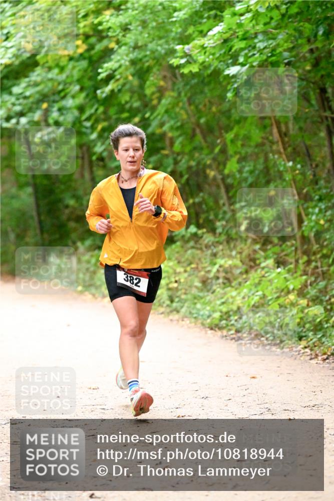 11.10.2026 - Bramfelder Halbmarathon 2026 Dr. Thomas Lammeyer http://msf.ph/oto/10818944 11.10.2026 10:10:33 Laufen 382 meine-sportfotos.de