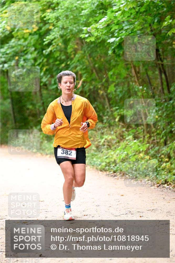 11.10.2026 - Bramfelder Halbmarathon 2026 Dr. Thomas Lammeyer http://msf.ph/oto/10818945 11.10.2026 10:10:33 Laufen 382 meine-sportfotos.de