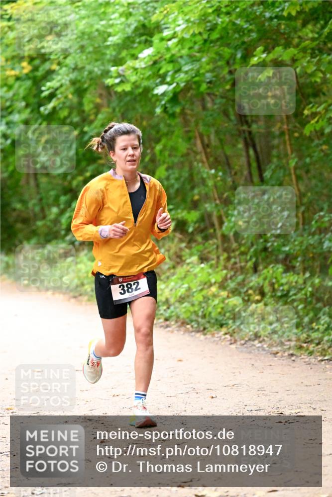 11.10.2026 - Bramfelder Halbmarathon 2026 Dr. Thomas Lammeyer http://msf.ph/oto/10818947 11.10.2026 10:10:33 Laufen 382 meine-sportfotos.de