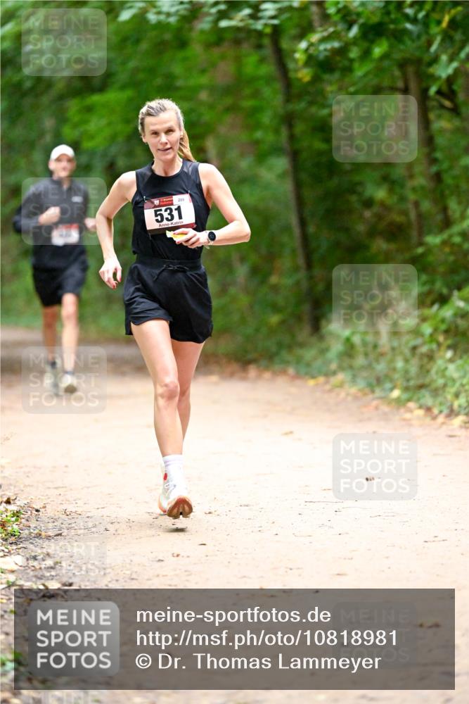 11.10.2026 - Bramfelder Halbmarathon 2026 Dr. Thomas Lammeyer http://msf.ph/oto/10818981 11.10.2026 10:10:57 Laufen 531, 289 meine-sportfotos.de