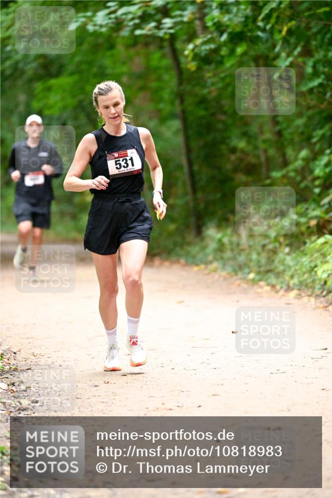 11.10.2026 - Bramfelder Halbmarathon 2026 Dr. Thomas Lammeyer http://msf.ph/oto/10818983 11.10.2026 10:10:57 Laufen 531 meine-sportfotos.de