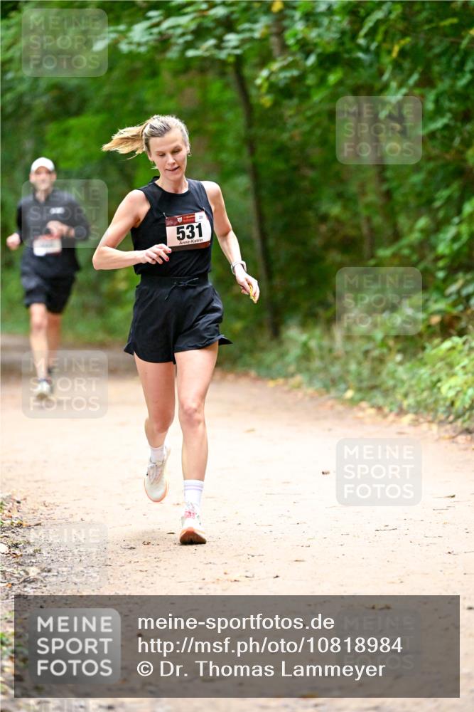 11.10.2026 - Bramfelder Halbmarathon 2026 Dr. Thomas Lammeyer http://msf.ph/oto/10818984 11.10.2026 10:10:57 Laufen 531 meine-sportfotos.de