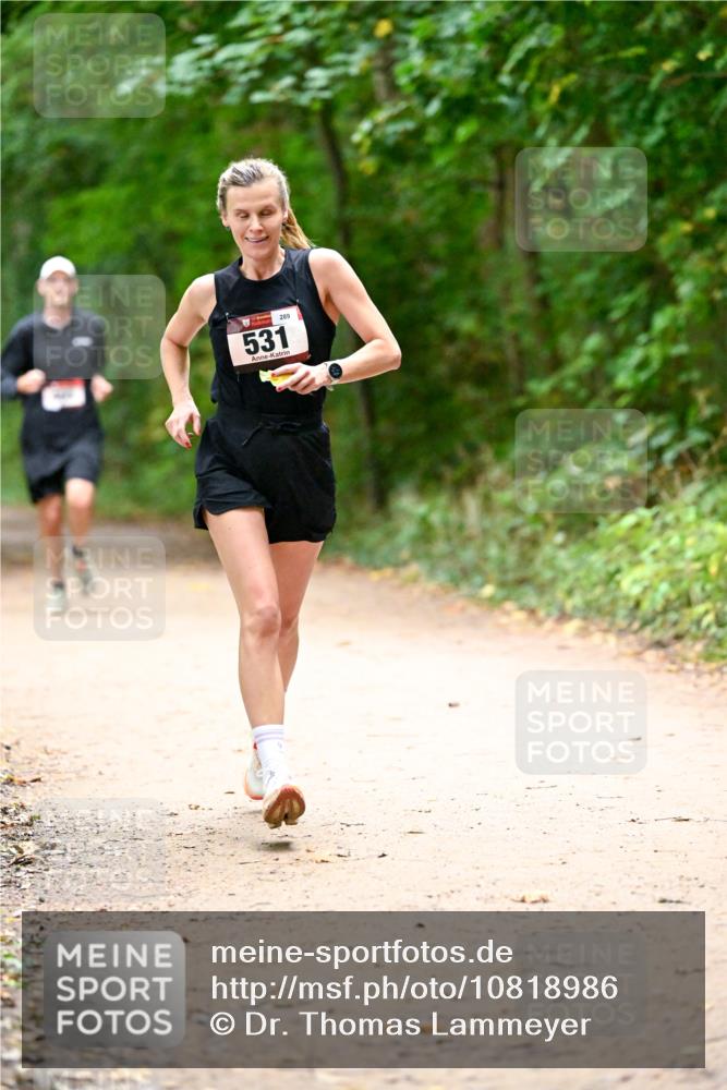 11.10.2026 - Bramfelder Halbmarathon 2026 Dr. Thomas Lammeyer http://msf.ph/oto/10818986 11.10.2026 10:10:58 Laufen 531, 289 meine-sportfotos.de