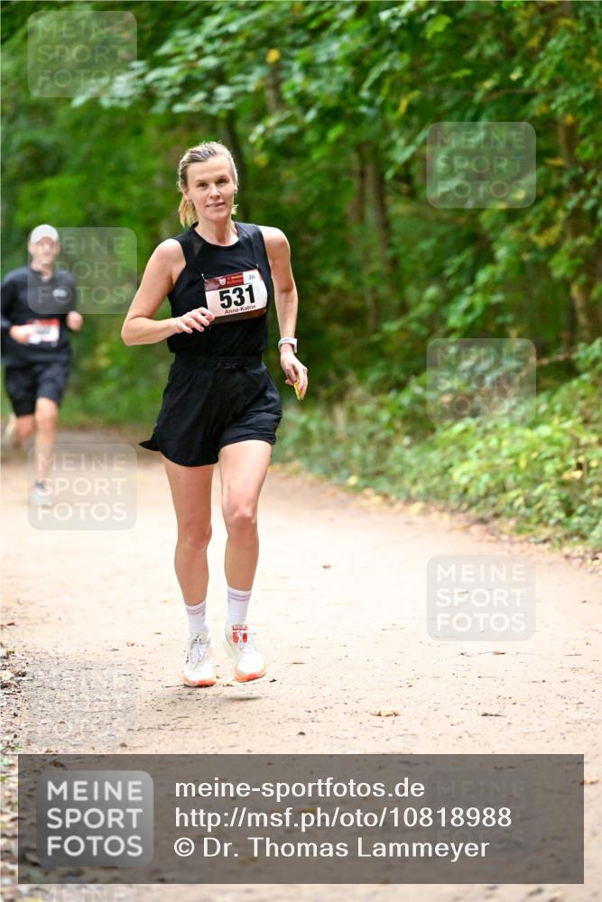 11.10.2026 - Bramfelder Halbmarathon 2026 Dr. Thomas Lammeyer http://msf.ph/oto/10818988 11.10.2026 10:10:58 Laufen 531, 289 meine-sportfotos.de