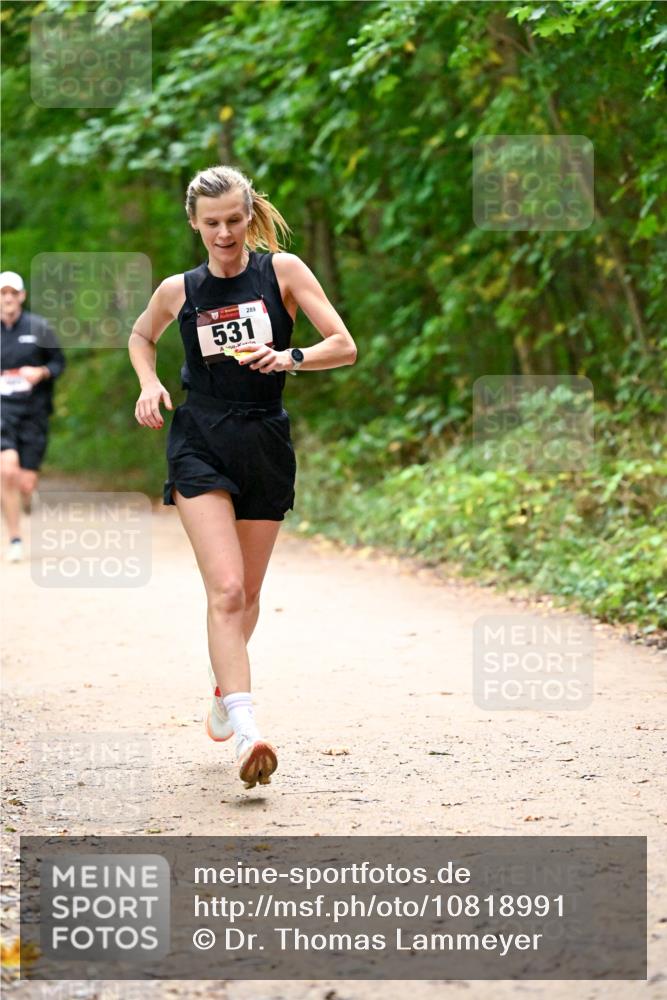 11.10.2026 - Bramfelder Halbmarathon 2026 Dr. Thomas Lammeyer http://msf.ph/oto/10818991 11.10.2026 10:10:58 Laufen 531, 289 meine-sportfotos.de