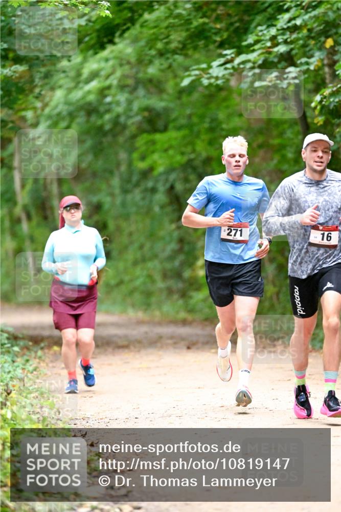 11.10.2026 - Bramfelder Halbmarathon 2026 Dr. Thomas Lammeyer http://msf.ph/oto/10819147 11.10.2026 10:11:36 Laufen 271, 16 meine-sportfotos.de