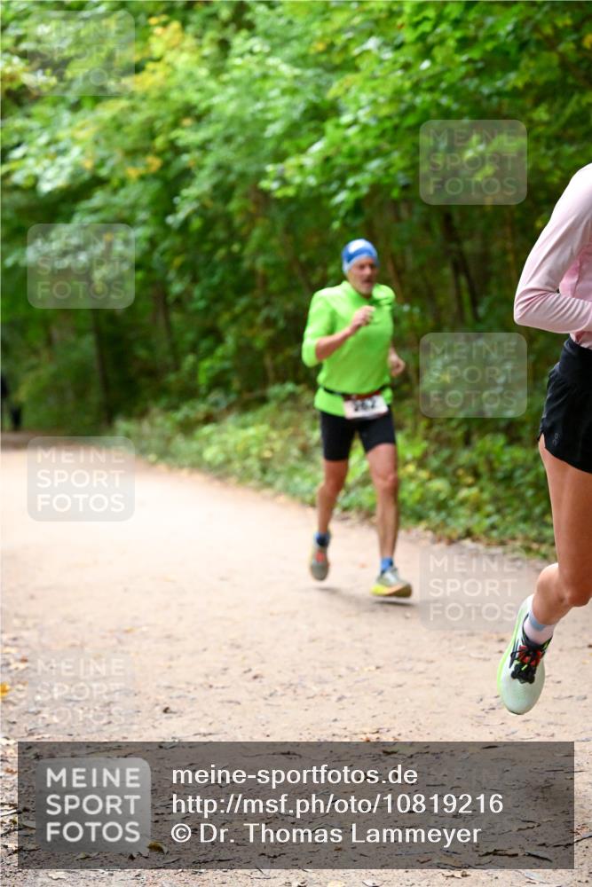 11.10.2026 - Bramfelder Halbmarathon 2026 Dr. Thomas Lammeyer http://msf.ph/oto/10819216 11.10.2026 10:12:29 Laufen  meine-sportfotos.de