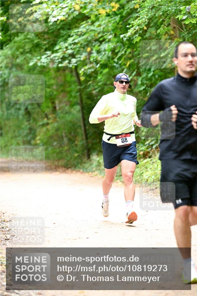 11.10.2026 - Bramfelder Halbmarathon 2026 Dr. Thomas Lammeyer http://msf.ph/oto/10819273 11.10.2026 10:12:58 Laufen 88 meine-sportfotos.de