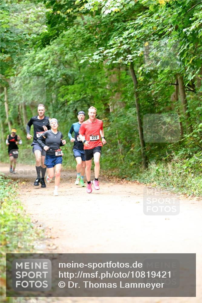 11.10.2026 - Bramfelder Halbmarathon 2026 Dr. Thomas Lammeyer http://msf.ph/oto/10819421 11.10.2026 10:13:43 Laufen 240, 272 meine-sportfotos.de