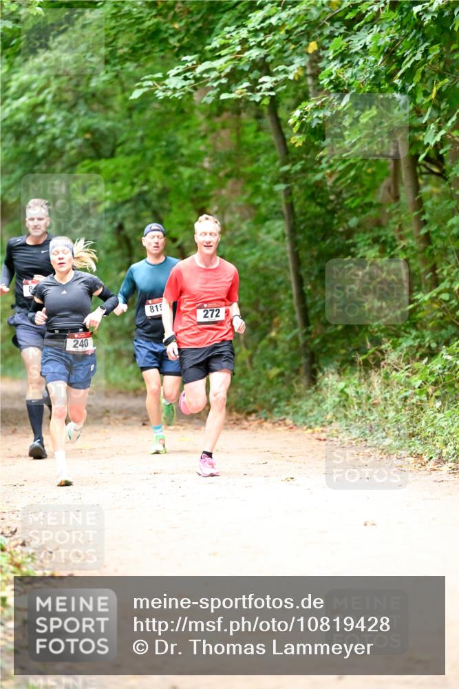 11.10.2026 - Bramfelder Halbmarathon 2026 Dr. Thomas Lammeyer http://msf.ph/oto/10819428 11.10.2026 10:13:44 Laufen 240, 815, 272 meine-sportfotos.de