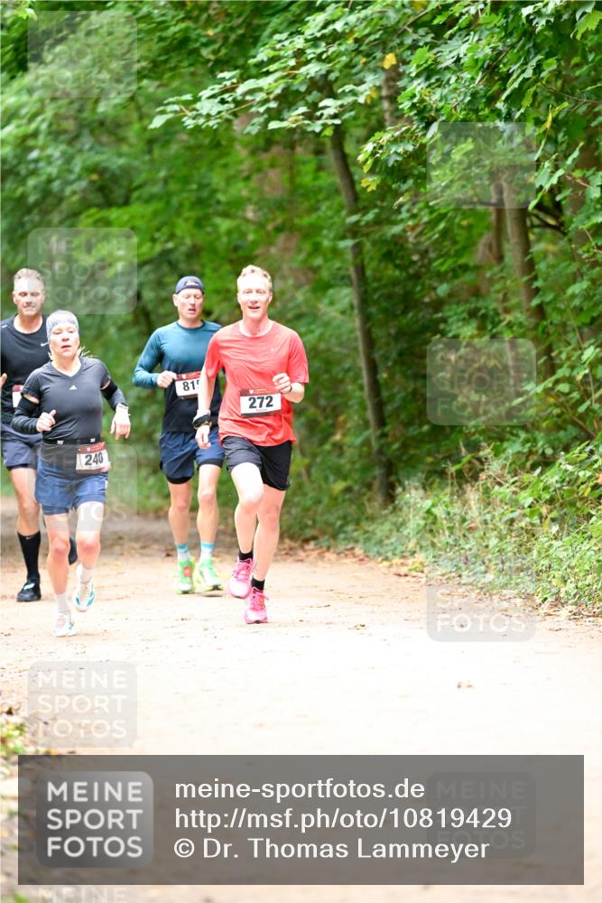 11.10.2026 - Bramfelder Halbmarathon 2026 Dr. Thomas Lammeyer http://msf.ph/oto/10819429 11.10.2026 10:13:44 Laufen 240, 815, 272 meine-sportfotos.de