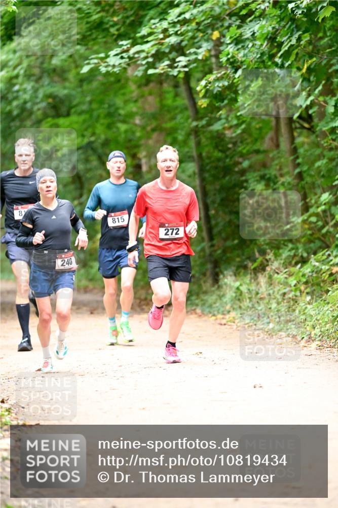 11.10.2026 - Bramfelder Halbmarathon 2026 Dr. Thomas Lammeyer http://msf.ph/oto/10819434 11.10.2026 10:13:44 Laufen 81, 240, 815, 2722 meine-sportfotos.de