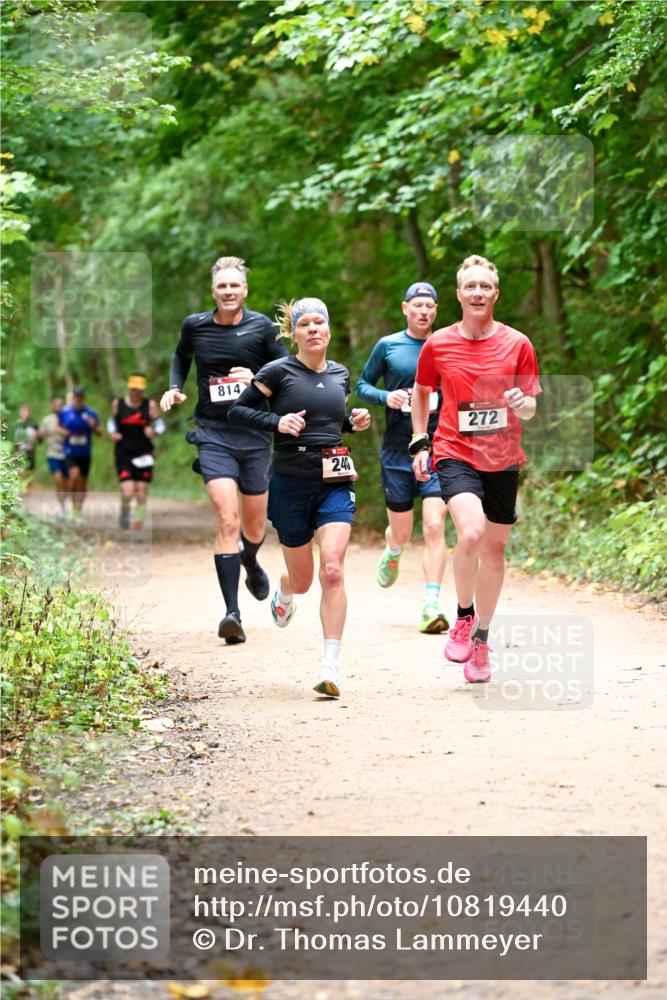11.10.2026 - Bramfelder Halbmarathon 2026 Dr. Thomas Lammeyer http://msf.ph/oto/10819440 11.10.2026 10:13:46 Laufen 814, 240, 272 meine-sportfotos.de