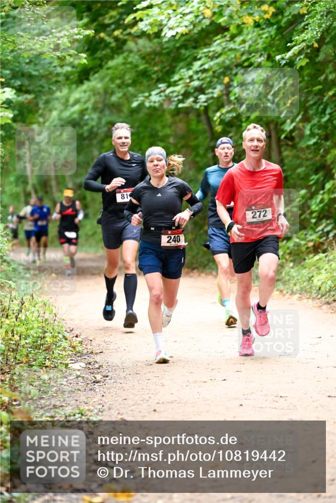 11.10.2026 - Bramfelder Halbmarathon 2026 Dr. Thomas Lammeyer http://msf.ph/oto/10819442 11.10.2026 10:13:46 Laufen 81, 240, 272 meine-sportfotos.de