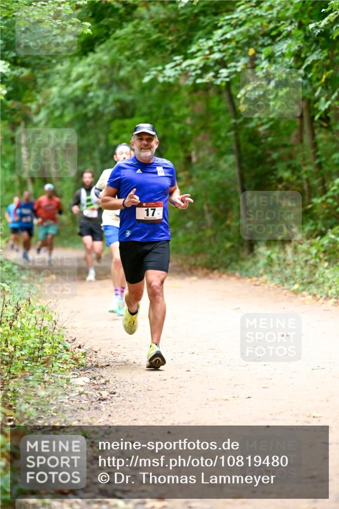 11.10.2026 - Bramfelder Halbmarathon 2026 Dr. Thomas Lammeyer http://msf.ph/oto/10819480 11.10.2026 10:13:54 Laufen 17 meine-sportfotos.de