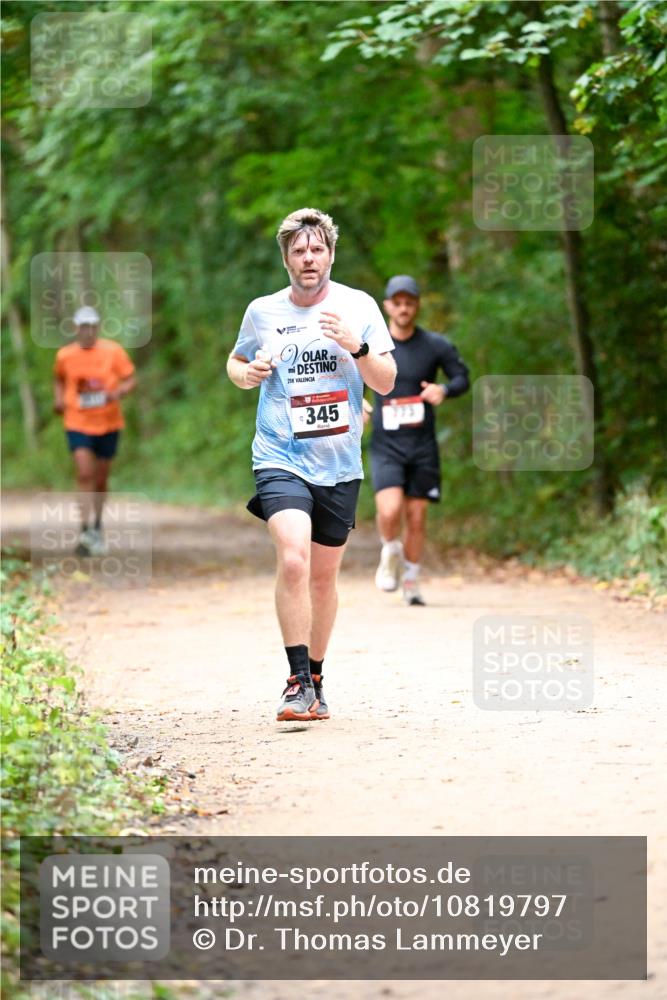 11.10.2026 - Bramfelder Halbmarathon 2026 Dr. Thomas Lammeyer http://msf.ph/oto/10819797 11.10.2026 10:16:20 Laufen 21, 345 meine-sportfotos.de