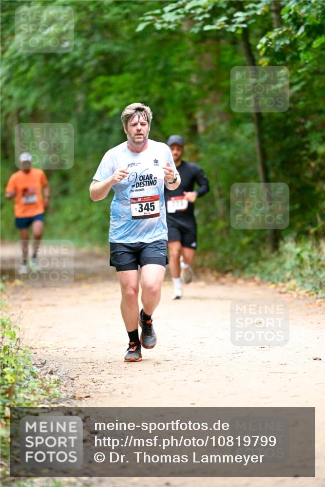 11.10.2026 - Bramfelder Halbmarathon 2026 Dr. Thomas Lammeyer http://msf.ph/oto/10819799 11.10.2026 10:16:20 Laufen 345 meine-sportfotos.de