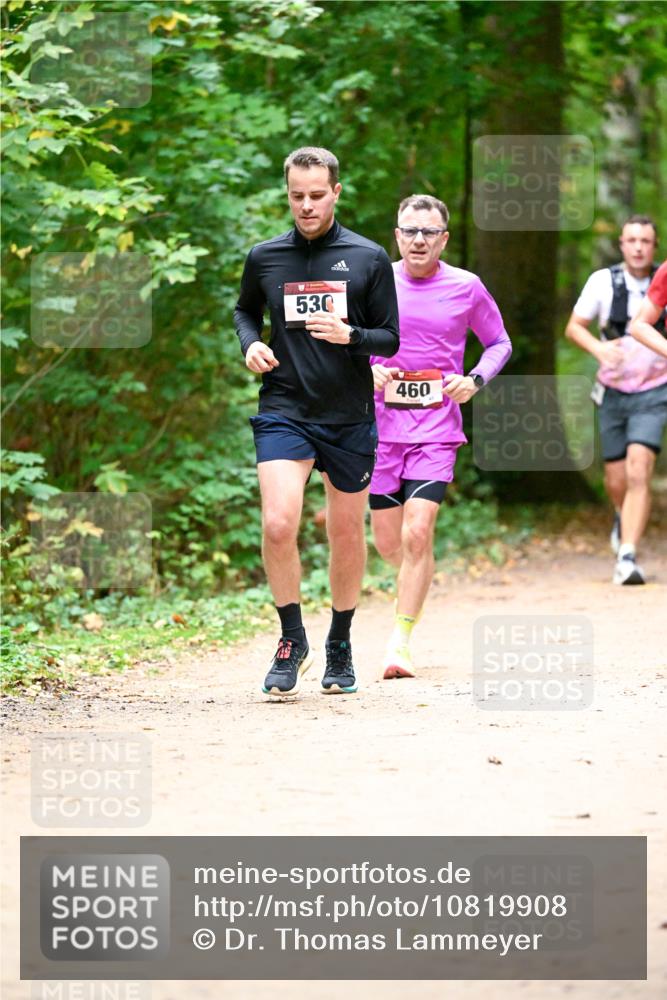 11.10.2026 - Bramfelder Halbmarathon 2026 Dr. Thomas Lammeyer http://msf.ph/oto/10819908 11.10.2026 10:17:48 Laufen 530, 460 meine-sportfotos.de