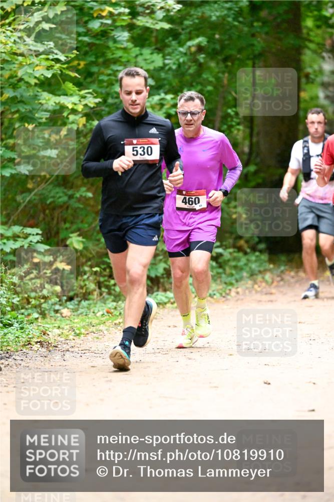 11.10.2026 - Bramfelder Halbmarathon 2026 Dr. Thomas Lammeyer http://msf.ph/oto/10819910 11.10.2026 10:17:49 Laufen 530, 460, 43 meine-sportfotos.de