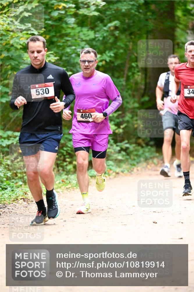 11.10.2026 - Bramfelder Halbmarathon 2026 Dr. Thomas Lammeyer http://msf.ph/oto/10819914 11.10.2026 10:17:49 Laufen 530, 460, 34 meine-sportfotos.de