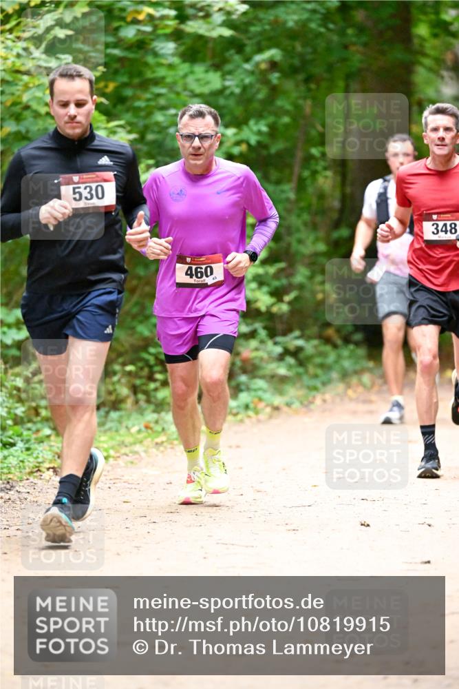11.10.2026 - Bramfelder Halbmarathon 2026 Dr. Thomas Lammeyer http://msf.ph/oto/10819915 11.10.2026 10:17:49 Laufen 530, 460, 348 meine-sportfotos.de