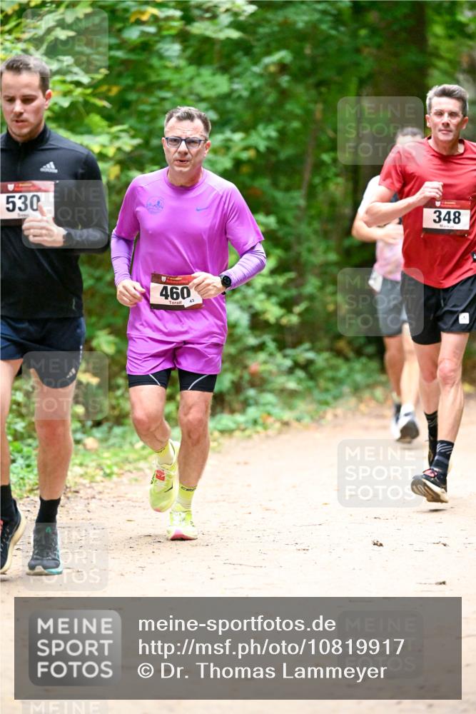 11.10.2026 - Bramfelder Halbmarathon 2026 Dr. Thomas Lammeyer http://msf.ph/oto/10819917 11.10.2026 10:17:50 Laufen 530, 460, 348 meine-sportfotos.de
