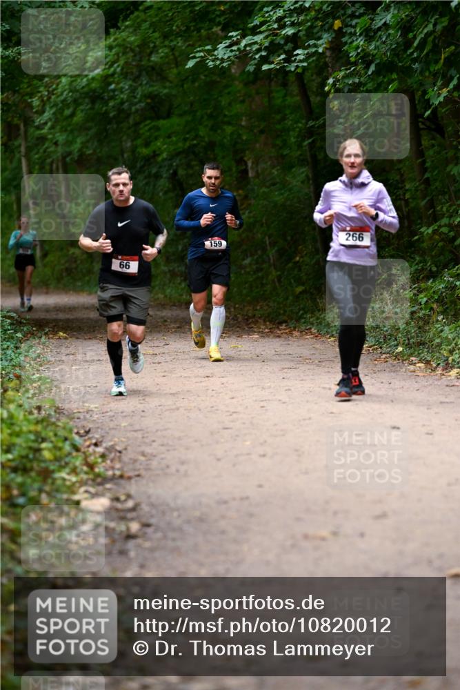 11.10.2026 - Bramfelder Halbmarathon 2026 Dr. Thomas Lammeyer http://msf.ph/oto/10820012 11.10.2026 10:18:47 Laufen 66, 159, 266 meine-sportfotos.de