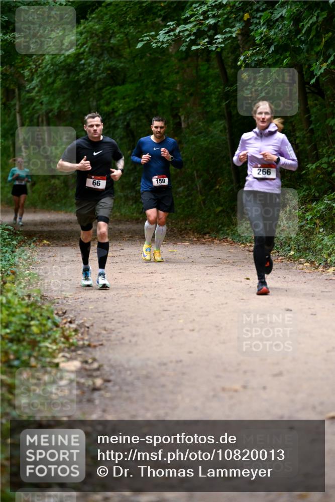 11.10.2026 - Bramfelder Halbmarathon 2026 Dr. Thomas Lammeyer http://msf.ph/oto/10820013 11.10.2026 10:18:47 Laufen 66, 159, 266 meine-sportfotos.de