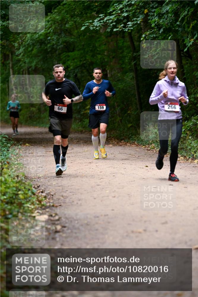 11.10.2026 - Bramfelder Halbmarathon 2026 Dr. Thomas Lammeyer http://msf.ph/oto/10820016 11.10.2026 10:18:47 Laufen 266, 159, 66 meine-sportfotos.de