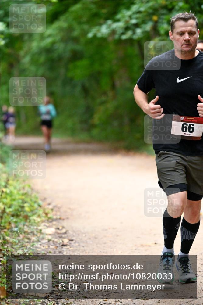 11.10.2026 - Bramfelder Halbmarathon 2026 Dr. Thomas Lammeyer http://msf.ph/oto/10820033 11.10.2026 10:18:51 Laufen 66 meine-sportfotos.de