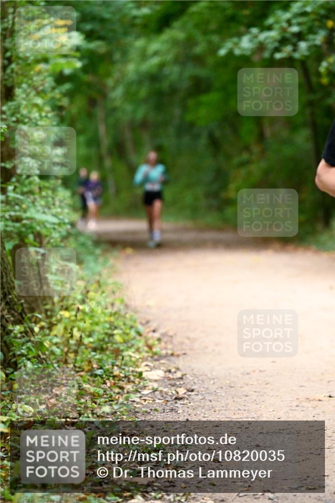 11.10.2026 - Bramfelder Halbmarathon 2026 Dr. Thomas Lammeyer http://msf.ph/oto/10820035 11.10.2026 10:18:51 Laufen  meine-sportfotos.de