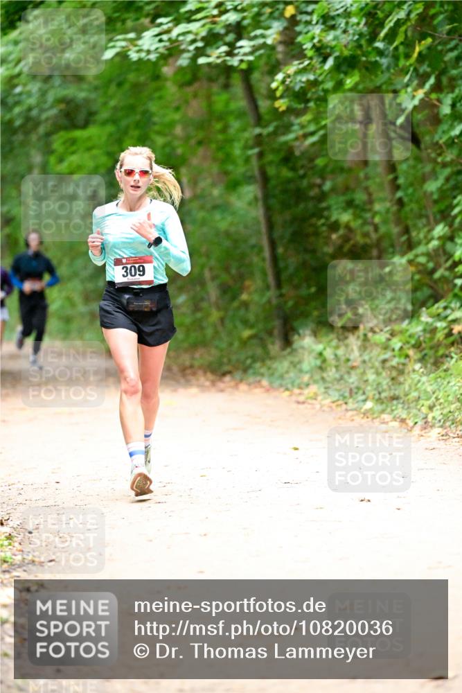 11.10.2026 - Bramfelder Halbmarathon 2026 Dr. Thomas Lammeyer http://msf.ph/oto/10820036 11.10.2026 10:18:57 Laufen 309 meine-sportfotos.de