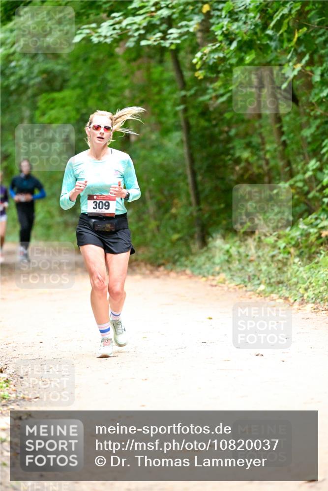 11.10.2026 - Bramfelder Halbmarathon 2026 Dr. Thomas Lammeyer http://msf.ph/oto/10820037 11.10.2026 10:18:57 Laufen 309 meine-sportfotos.de