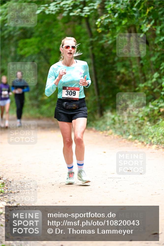 11.10.2026 - Bramfelder Halbmarathon 2026 Dr. Thomas Lammeyer http://msf.ph/oto/10820043 11.10.2026 10:18:58 Laufen 309 meine-sportfotos.de