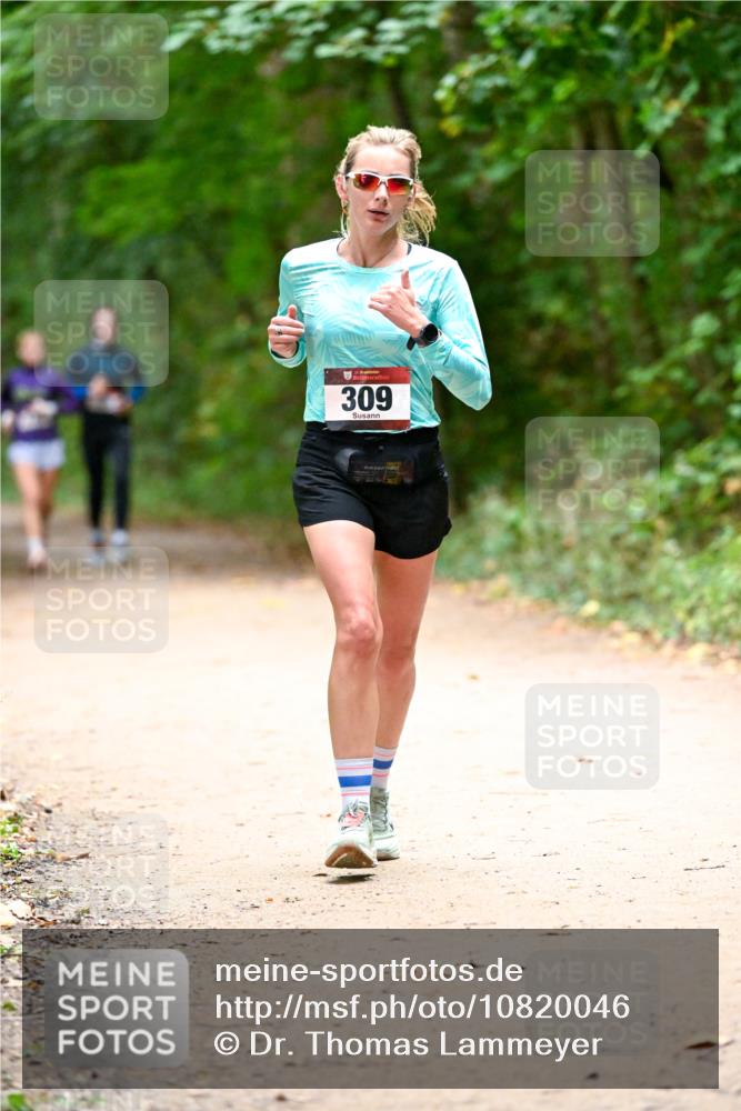 11.10.2026 - Bramfelder Halbmarathon 2026 Dr. Thomas Lammeyer http://msf.ph/oto/10820046 11.10.2026 10:18:58 Laufen 35, 309 meine-sportfotos.de
