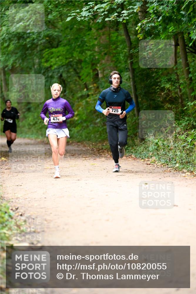 11.10.2026 - Bramfelder Halbmarathon 2026 Dr. Thomas Lammeyer http://msf.ph/oto/10820055 11.10.2026 10:19:02 Laufen 47, 725 meine-sportfotos.de
